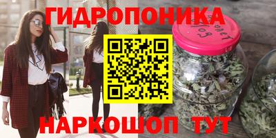 крисы Обнинск