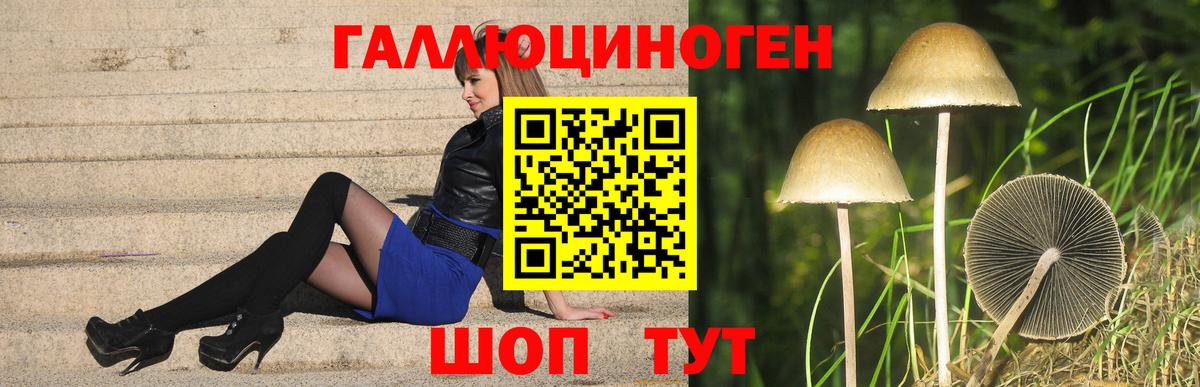 Галлюциногенные грибы MAGIC MUSHROOMS Семёнов